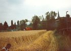 International Harvester 1660 21